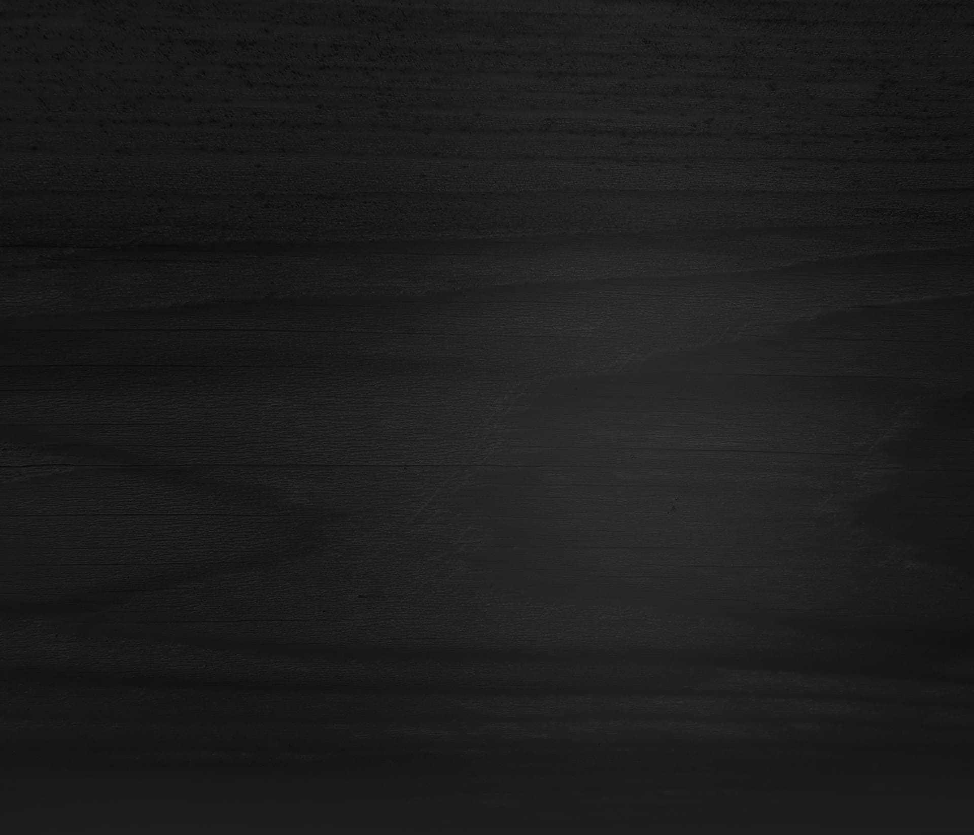 Vineyard rows at golden hour